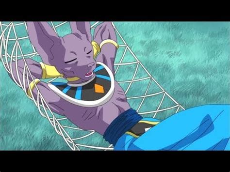 beerus sleeping|is beerus evil enough.